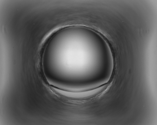 X0000085021502200703121531