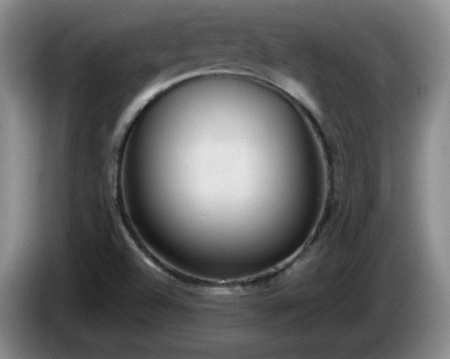 X0000085021504200703121531