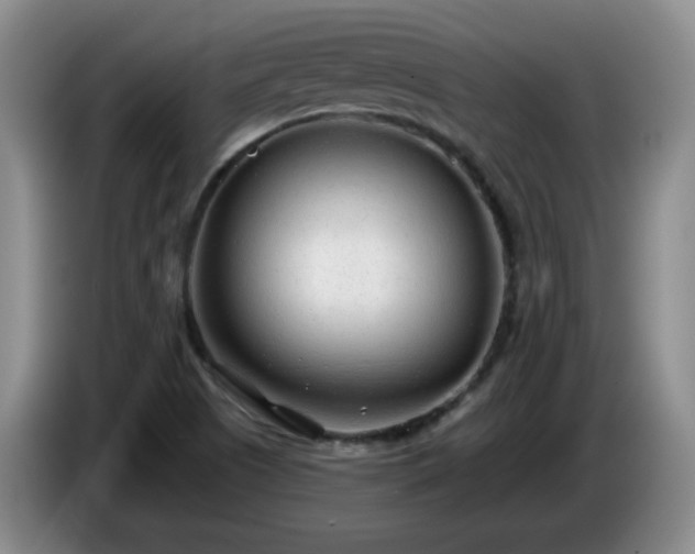 X0000085021505200703121531