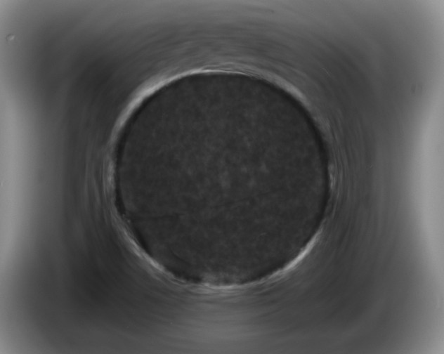 X0000085021506200703121531