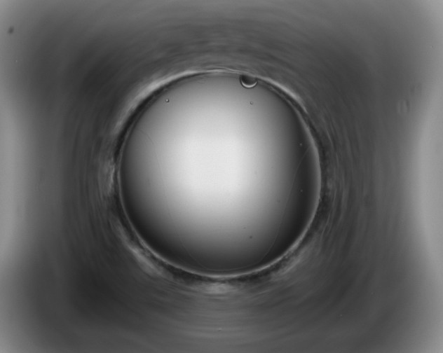 X0000085021507200703121531