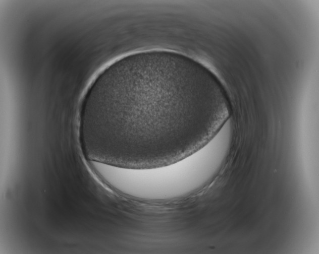 X0000085021508200703121531