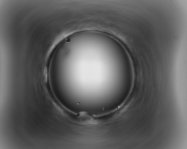 X0000085021509200703121532