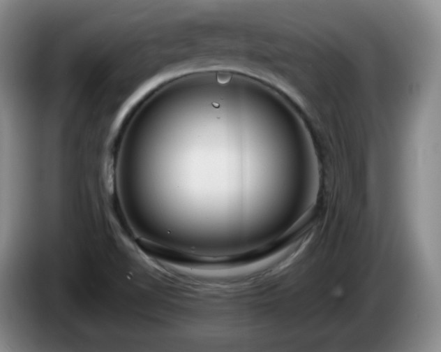 X0000085021510200703121532