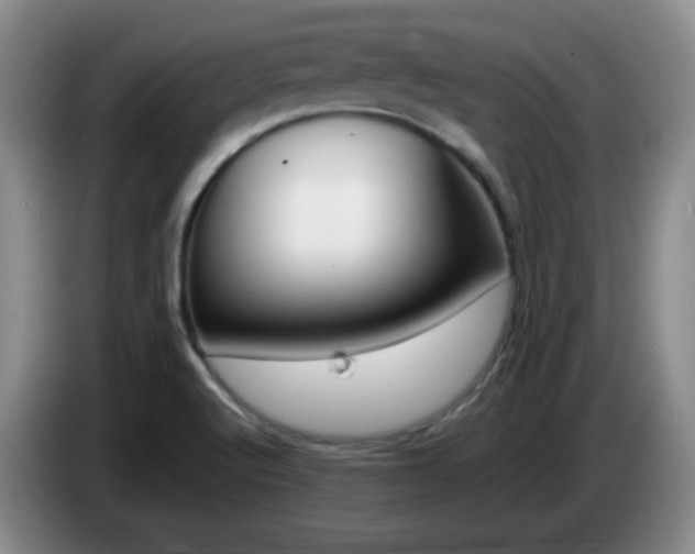 X0000085021512200703121532