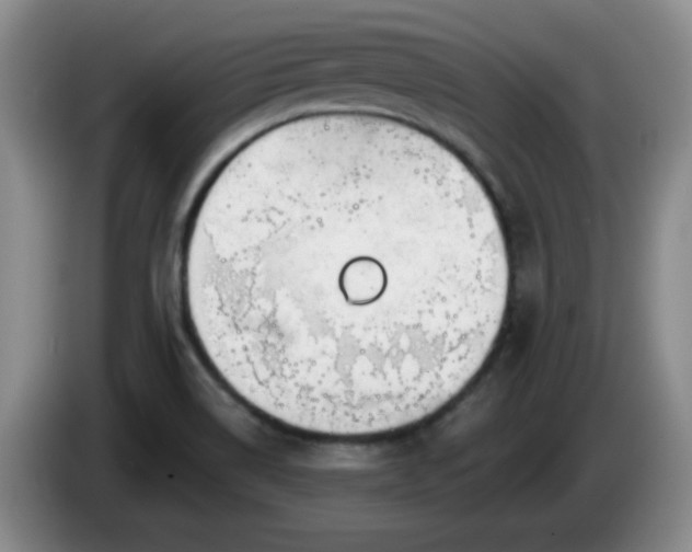 X0000085021514200703121532