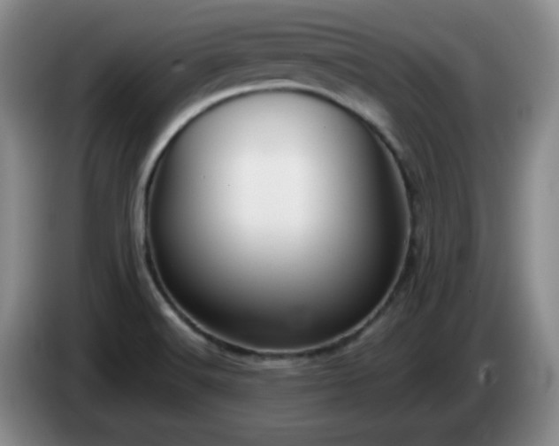 X0000085021516200703121532