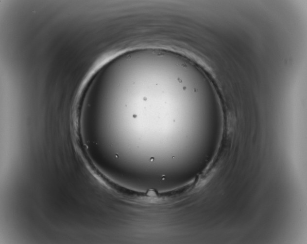 X0000085021517200703121532