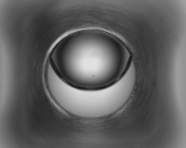 X0000085021518200703121532
