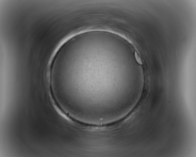 X0000085021519200703121532