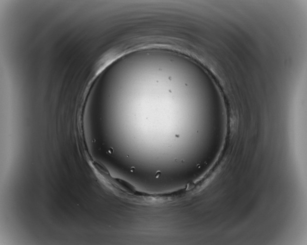 X0000085021521200703121532