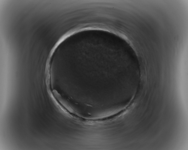 X0000085021522200703121532