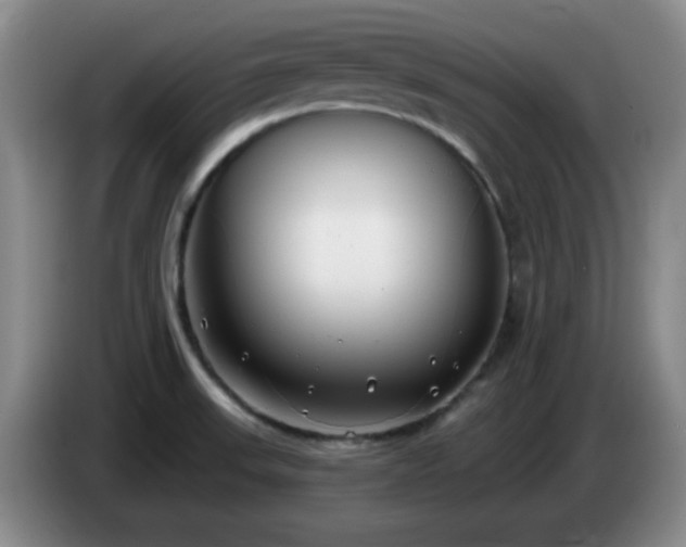X0000085021523200703121532