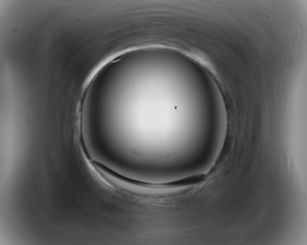 X0000085021524200703121532