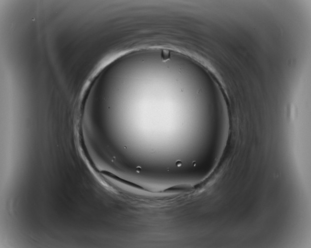 X0000085021525200703121532