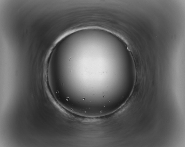 X0000085021526200703121532