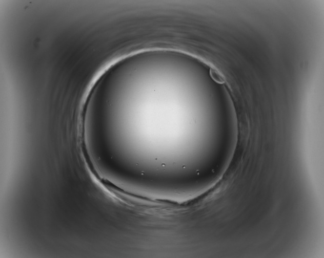 X0000085021527200703121532