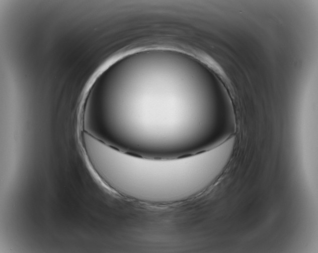 X0000085021528200703121532