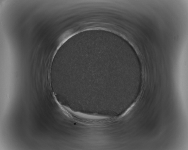 X0000085021529200703121532