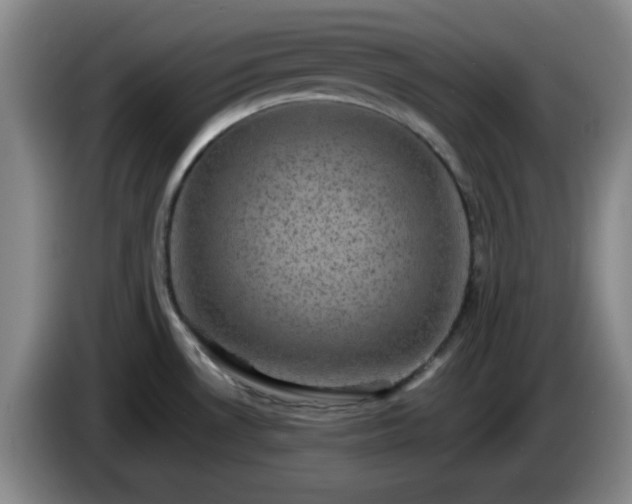 X0000085021530200703121532