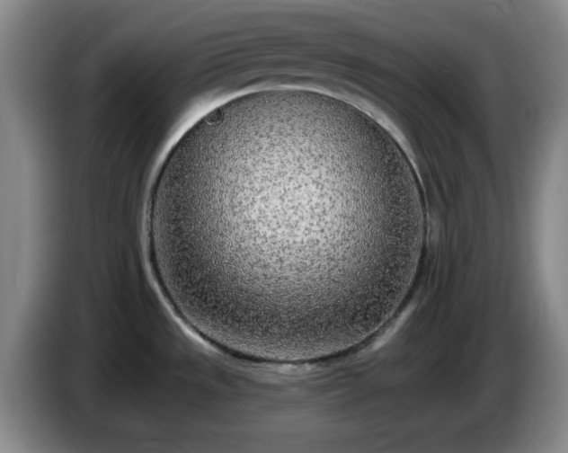 X0000085021533200703121532