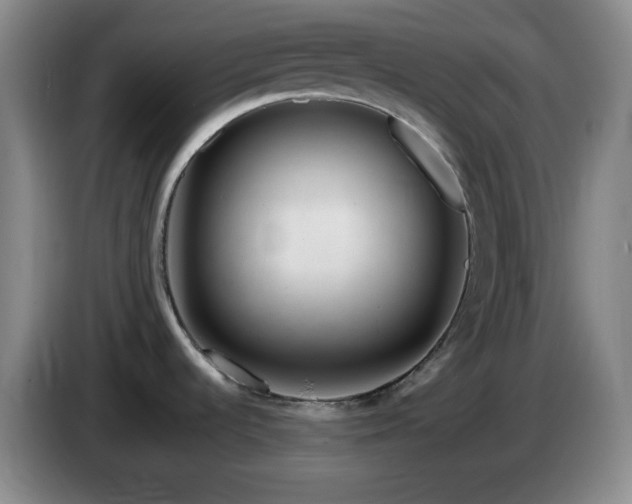 X0000085021536200703121532