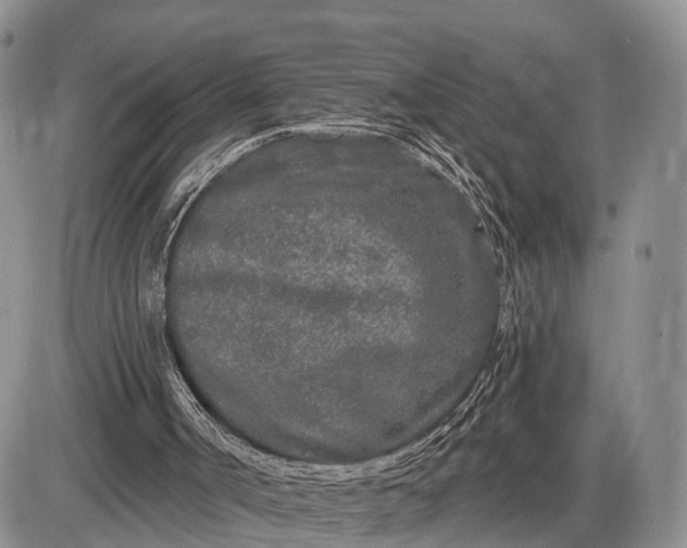 X0000085020002200703191153