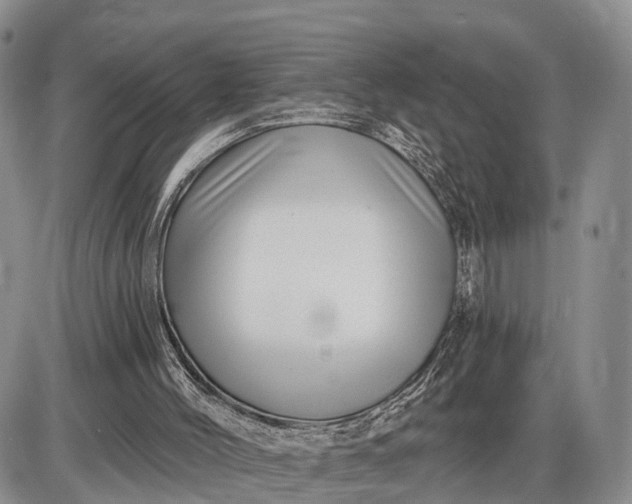 X0000085020004200703191153