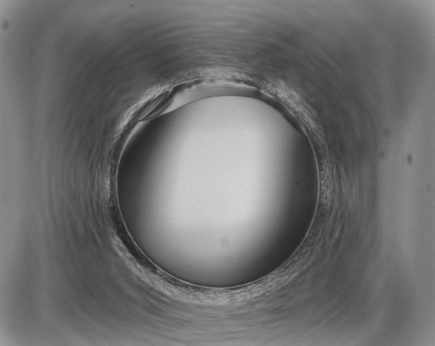 X0000085020015200703191153