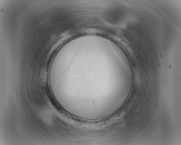 X0000085020016200703191153