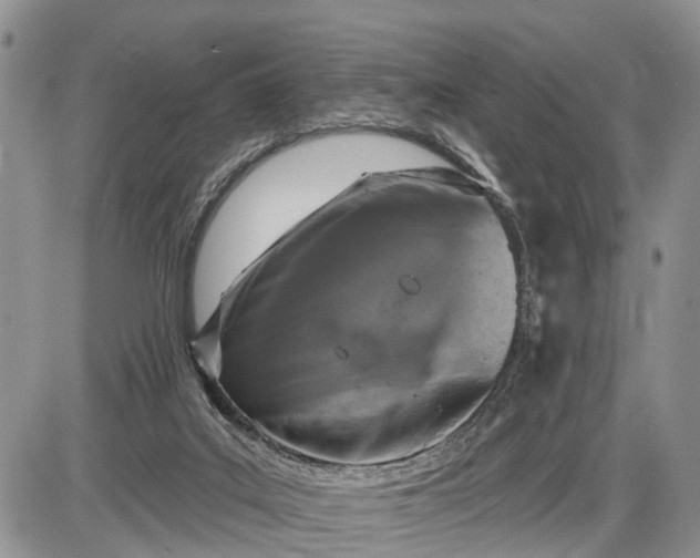 X0000085020019200703191153