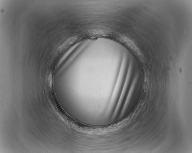 X0000085020021200703191153