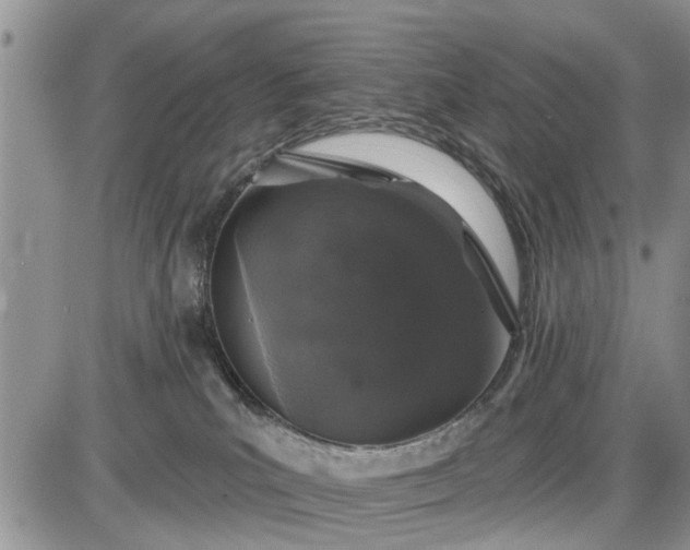 X0000085020039200703191153