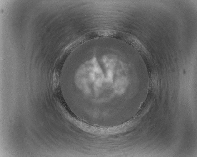 X0000085020043200703191153