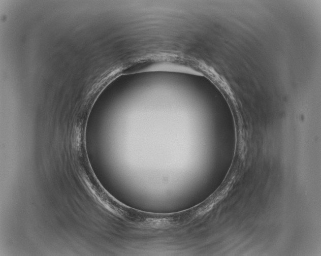 X0000085020057200703191152