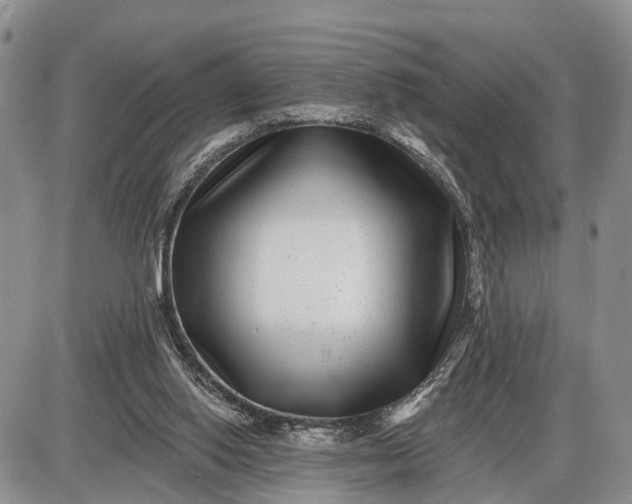X0000085020062200703191152