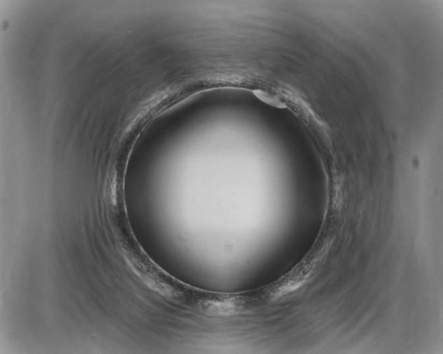X0000085020068200703191152