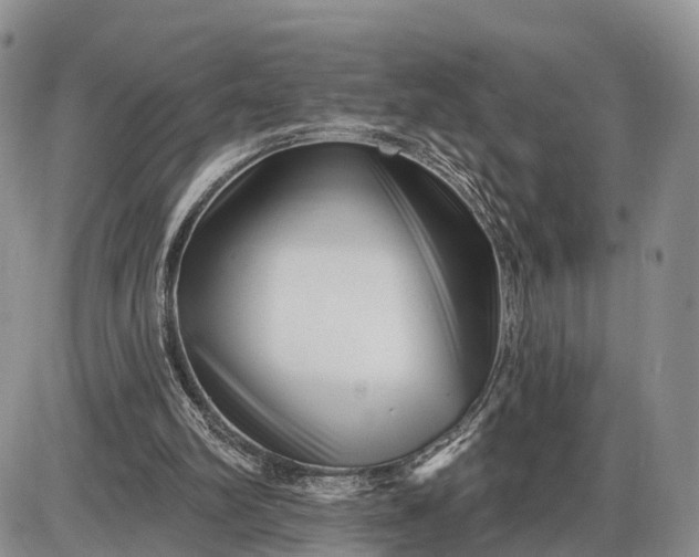 X0000085020102200703191152