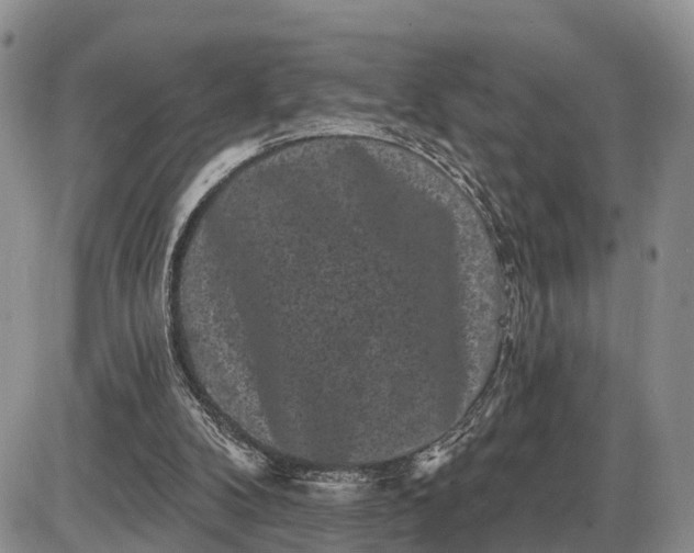 X0000085020104200703191152
