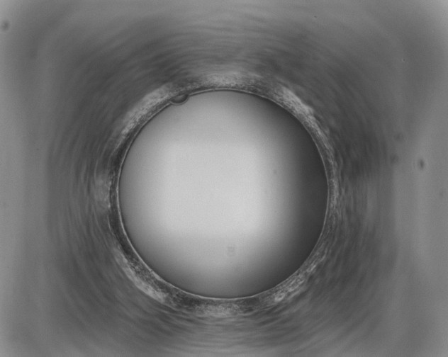 X0000085020106200703191152