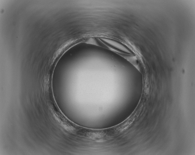 X0000085020107200703191152