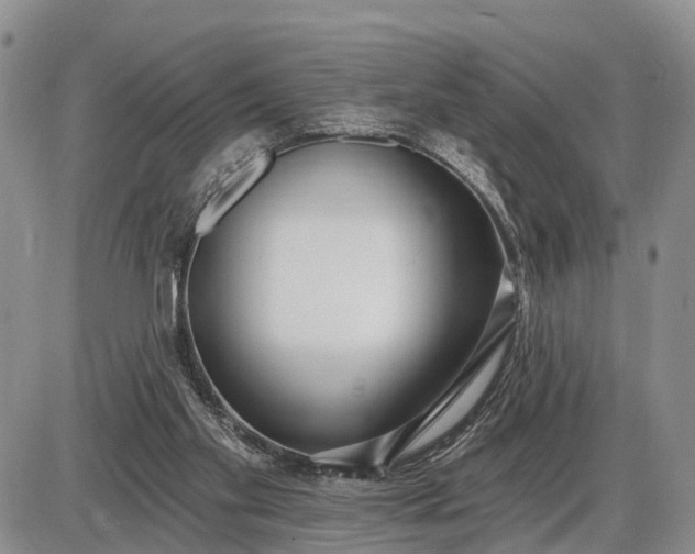 X0000085020109200703191151