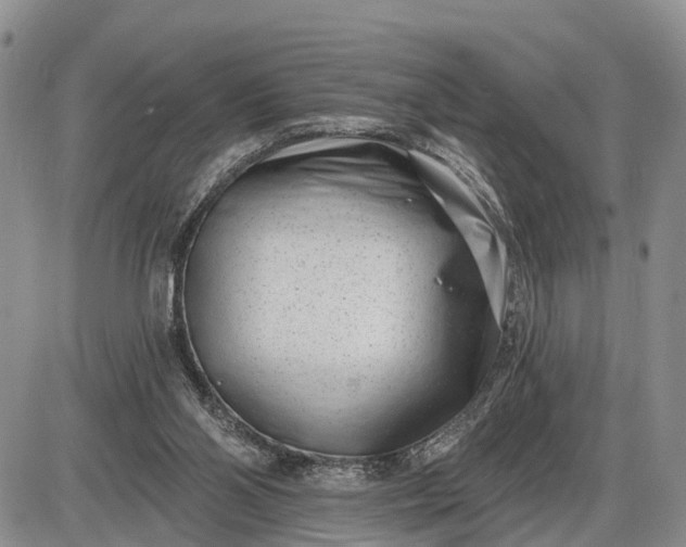 X0000085020110200703191151