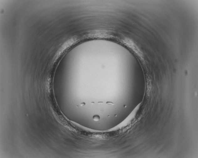 X0000085020111200703191151