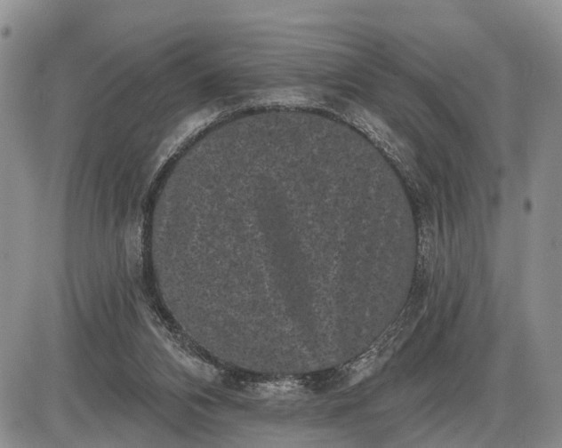 X0000085020112200703191151