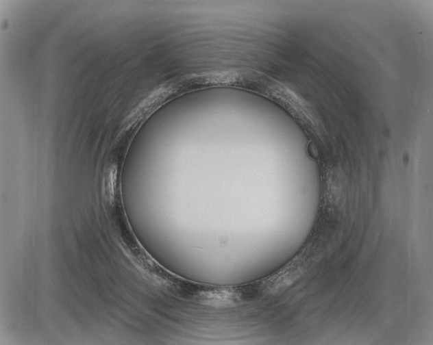 X0000085020118200703191151