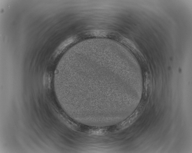 X0000085020120200703191151
