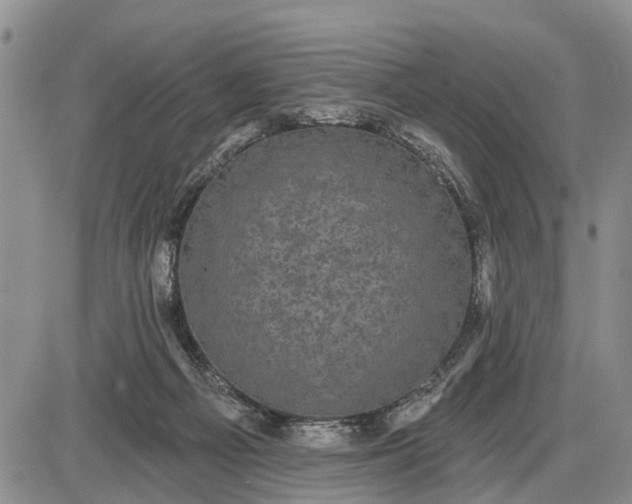 X0000085020121200703191151