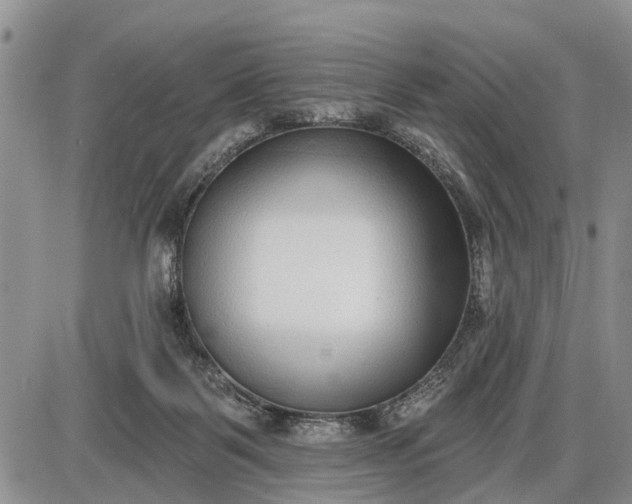 X0000085020123200703191151
