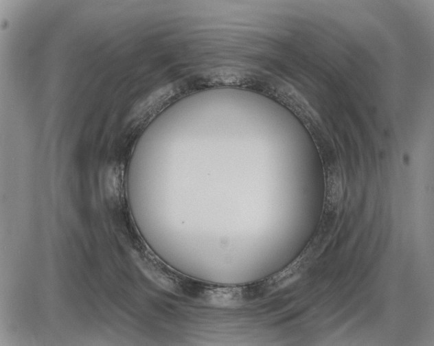 X0000085020126200703191151